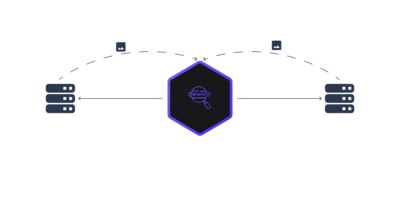 Website Monitoring
